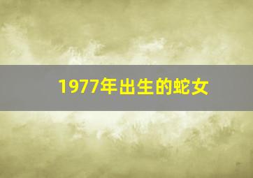 1977年出生的蛇女