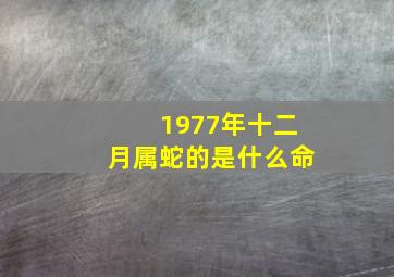 1977年十二月属蛇的是什么命