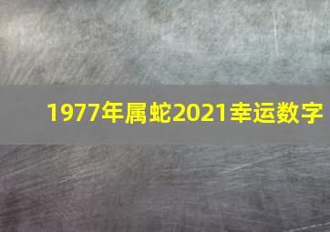 1977年属蛇2021幸运数字