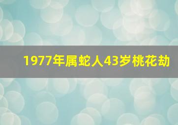 1977年属蛇人43岁桃花劫