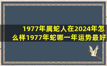 1977年属蛇人在2024年怎么样1977年蛇哪一年运势最好