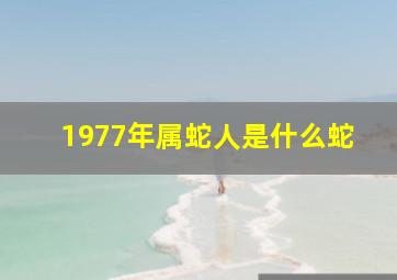 1977年属蛇人是什么蛇