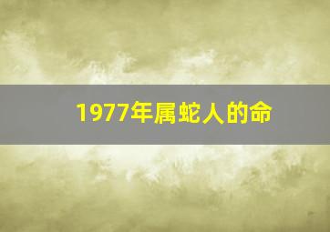 1977年属蛇人的命