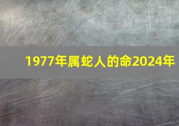 1977年属蛇人的命2024年