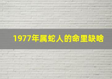 1977年属蛇人的命里缺啥