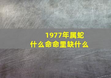 1977年属蛇什么命命里缺什么