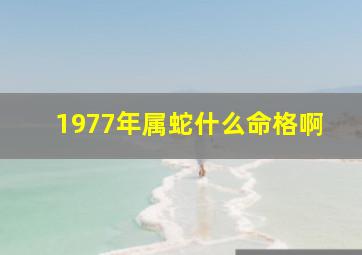 1977年属蛇什么命格啊