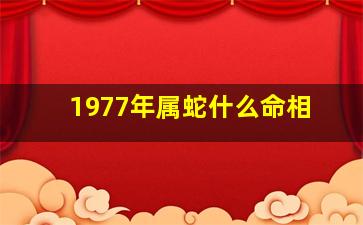 1977年属蛇什么命相