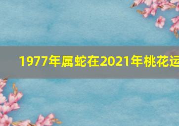 1977年属蛇在2021年桃花运