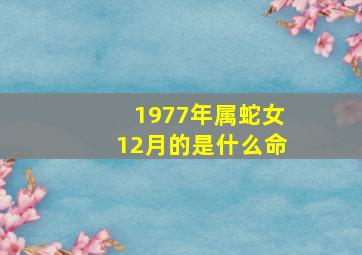 1977年属蛇女12月的是什么命