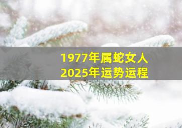 1977年属蛇女人2025年运势运程