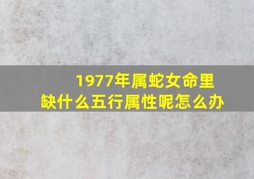 1977年属蛇女命里缺什么五行属性呢怎么办