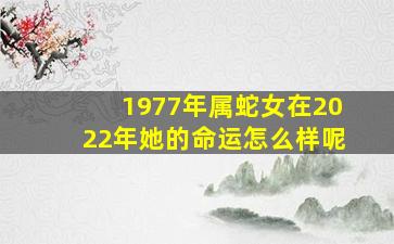 1977年属蛇女在2022年她的命运怎么样呢