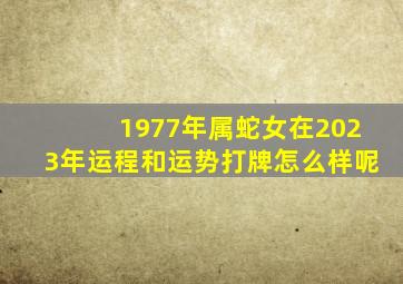 1977年属蛇女在2023年运程和运势打牌怎么样呢