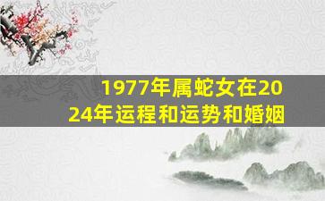 1977年属蛇女在2024年运程和运势和婚姻