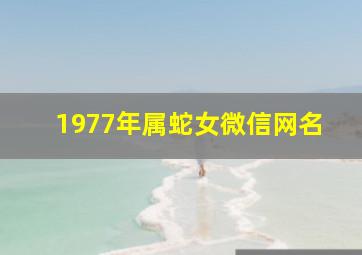 1977年属蛇女微信网名