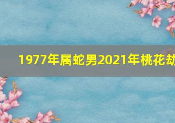 1977年属蛇男2021年桃花劫