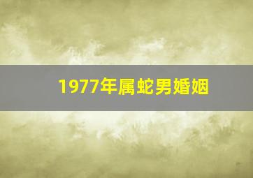 1977年属蛇男婚姻