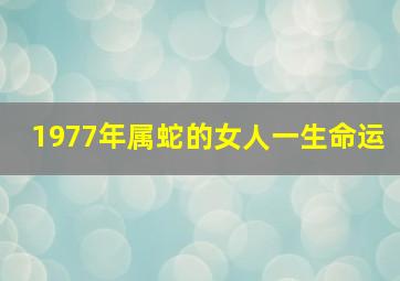 1977年属蛇的女人一生命运