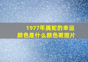 1977年属蛇的幸运颜色是什么颜色呢图片