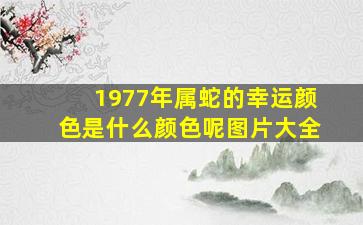 1977年属蛇的幸运颜色是什么颜色呢图片大全