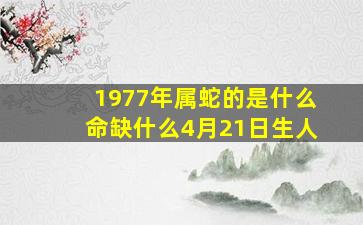 1977年属蛇的是什么命缺什么4月21日生人