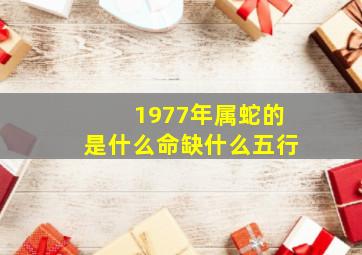 1977年属蛇的是什么命缺什么五行