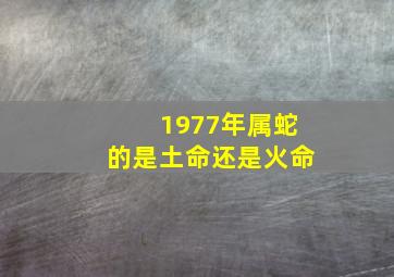 1977年属蛇的是土命还是火命