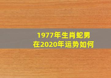 1977年生肖蛇男在2020年运势如何