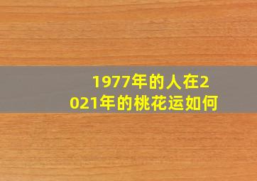 1977年的人在2021年的桃花运如何