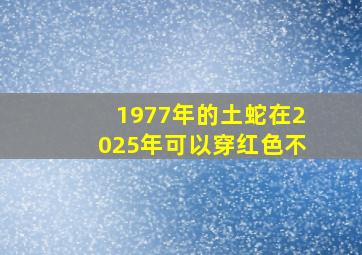 1977年的土蛇在2025年可以穿红色不