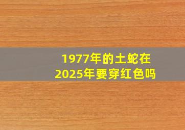 1977年的土蛇在2025年要穿红色吗