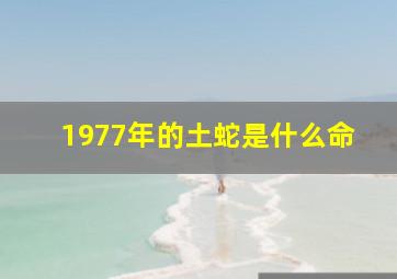 1977年的土蛇是什么命