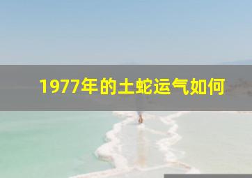 1977年的土蛇运气如何