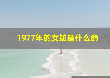 1977年的女蛇是什么命