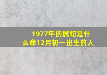 1977年的属蛇是什么命12月初一出生的人