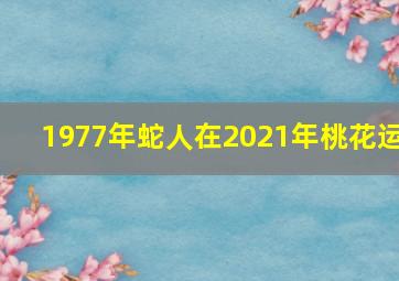 1977年蛇人在2021年桃花运