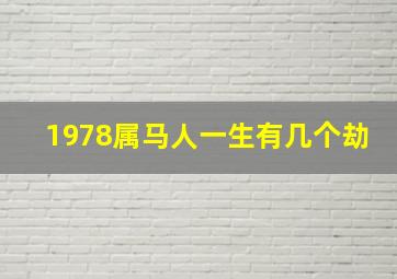 1978属马人一生有几个劫