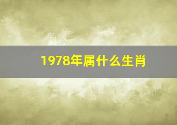 1978年属什么生肖