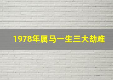 1978年属马一生三大劫难