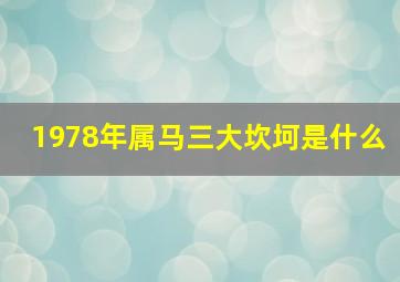 1978年属马三大坎坷是什么