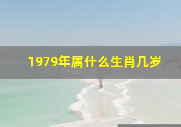 1979年属什么生肖几岁