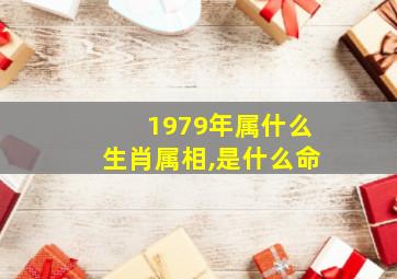 1979年属什么生肖属相,是什么命