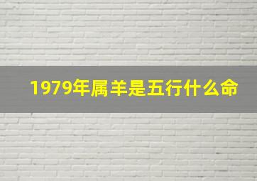 1979年属羊是五行什么命