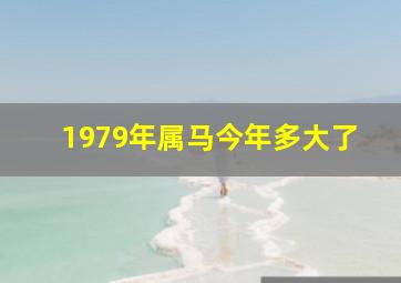 1979年属马今年多大了