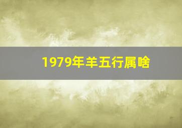 1979年羊五行属啥