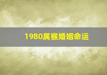 1980属猴婚姻命运