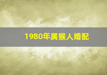 1980年属猴人婚配