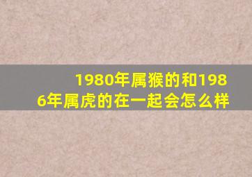 1980年属猴的和1986年属虎的在一起会怎么样