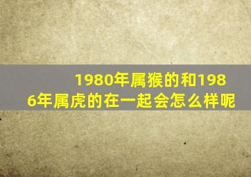 1980年属猴的和1986年属虎的在一起会怎么样呢